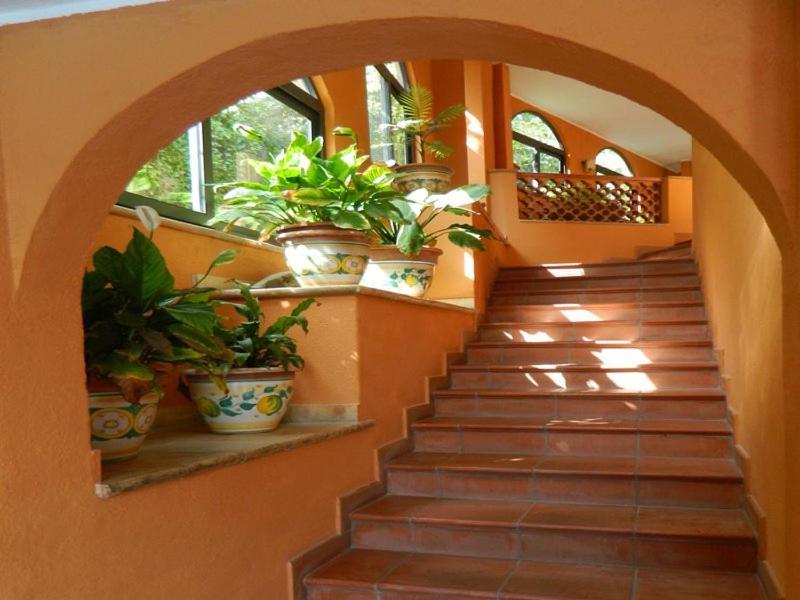 Antelima B&B Таорміна Екстер'єр фото